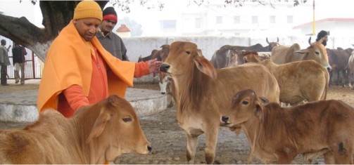 dairy exceeds its target in investments in UP dairynews7x7