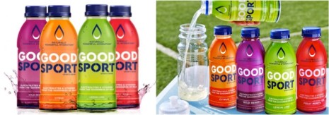 good sport launched at walmart dairynews7x7