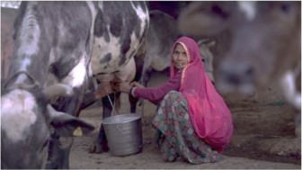 laxmi dairy farmer from India blog kuldeep sharma