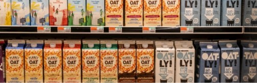 plant based shaking up dairy sector dairynews7x7