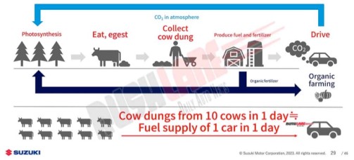 suzuki car to run on cow dung CNG dairynews7x7