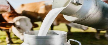 2 lakh dairy cooperatives to be set up dairynews7x7