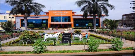 BAMUL more milk price due to shortage dairynews7x7