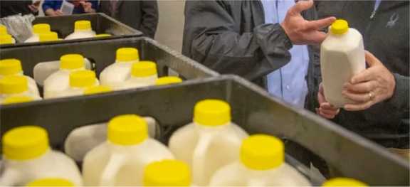 dairy value chain squeezed dairynews7x7