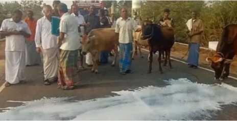 farmer strike aavin milk supply