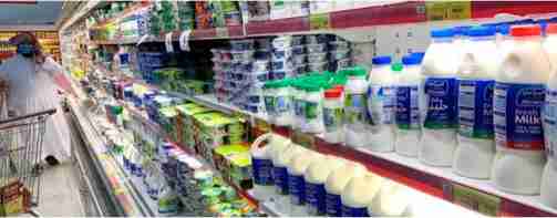 saudi arab self sufficient in dairy products dairynews7x7