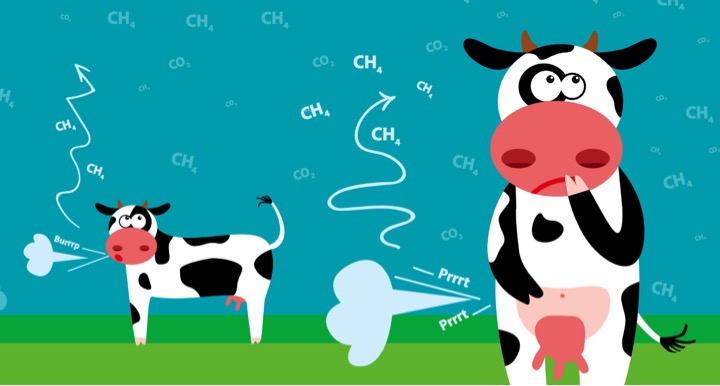 feed to control methane emission in cow burps dairynews7x7