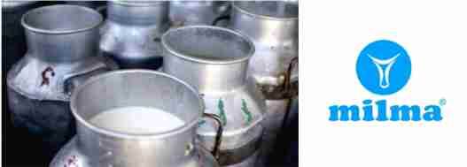 milma milk procurement dips due to summer