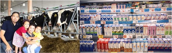 japan looks at milk glut in winter dairynews7x7