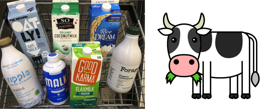 plant based milk no match to milk dairynews7x7