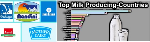 top 5 brands dairy india dairynews7x7