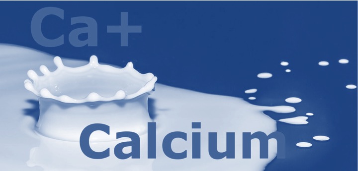 35% calcium intake through milk dairynews7x7