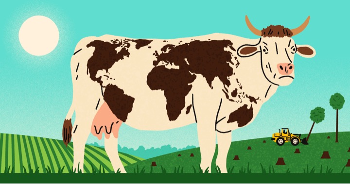 cow and world environment day dairynews7x7