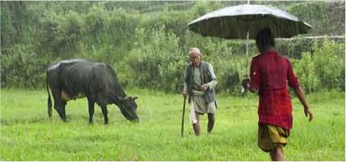 no correlation between monsoon and milk production dairynews7x7