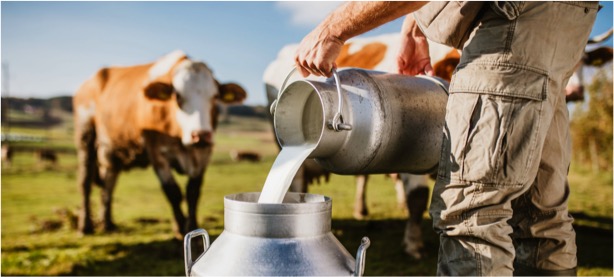 dairy alternative no match to cow milk dairynews7x7