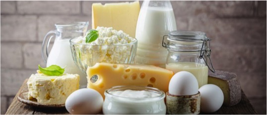 dutch drinking less milk eating more cheese dairynews7x7