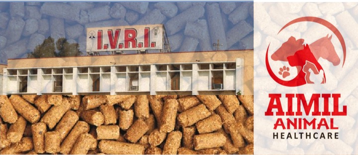 ivri aimil high yilelding cattle feed dairynews7x7