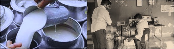 maharashtra fix minimum milk price dairynews7x7