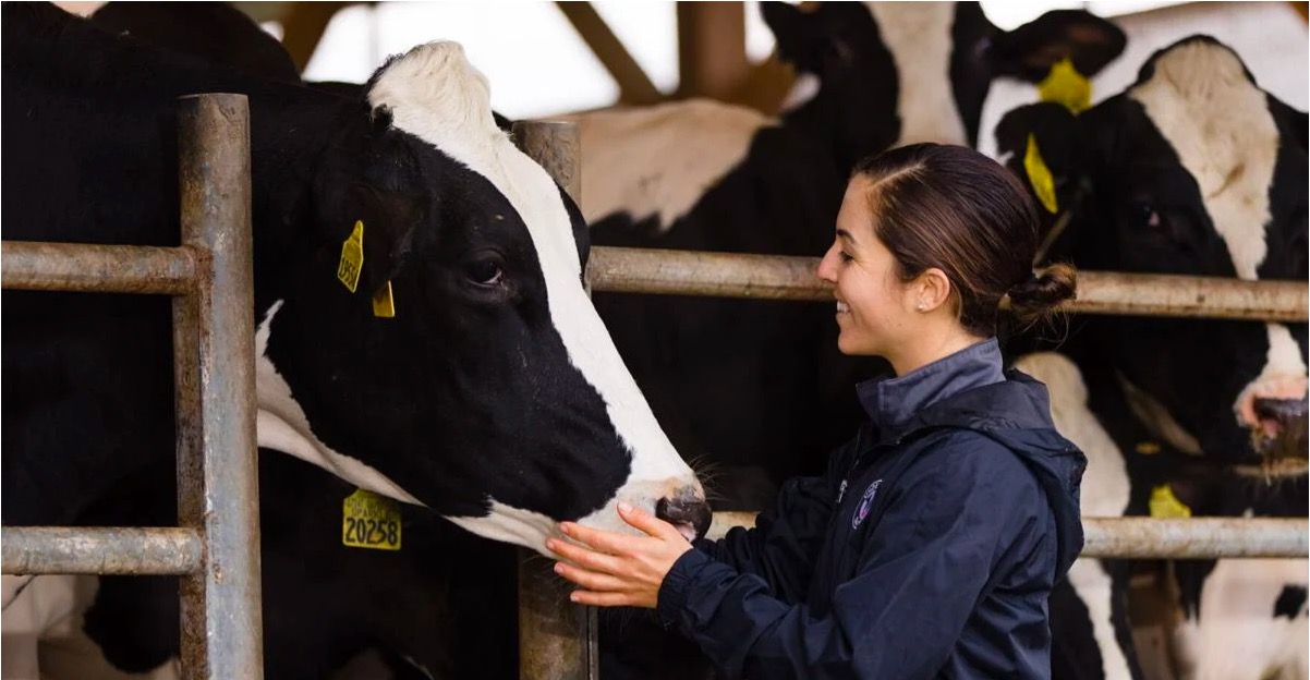 social media for farm connect dairynews7x7