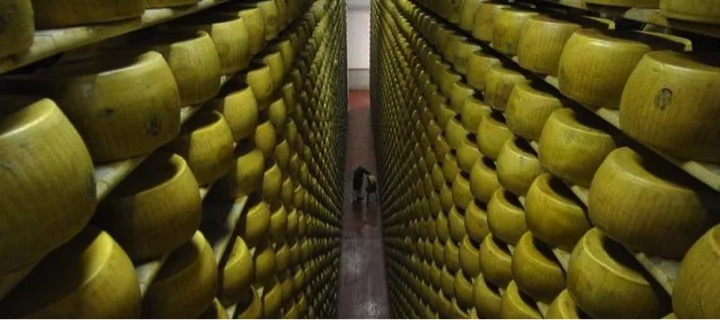 dairy owner died as round cheese fell on him dairynews7x7