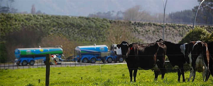 India important market for fonterra dairynews7x7