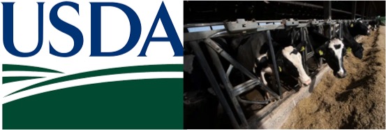 USDA Milk loss assistance program dairynews7x7