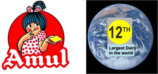 amul 12th largest dairy in the world dairynews7x7