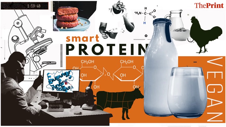 phyxx44 dirupts in cow less milk dairynews7x7