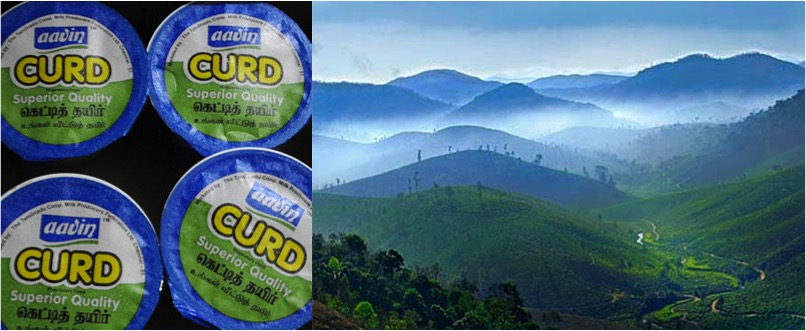 aavin to sell in nilgiris dairynews7x7