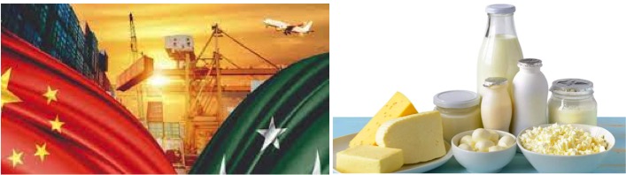 Pak-China dairy bilateral dairynbews7x7