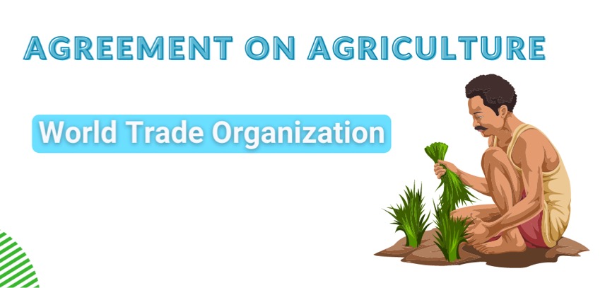 agreement on agriculture wto dairynews7x7