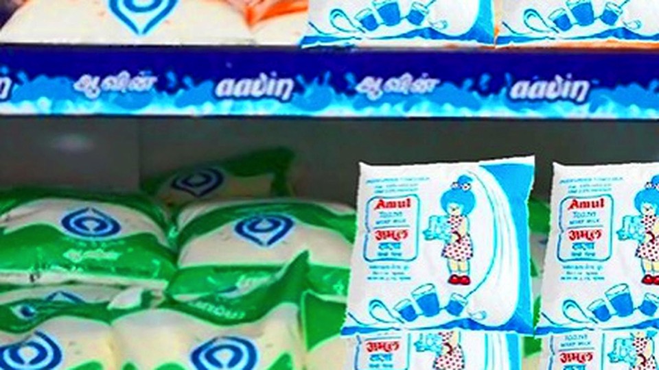 alternative to milk pouch ngt tells aavin dairynews7x7