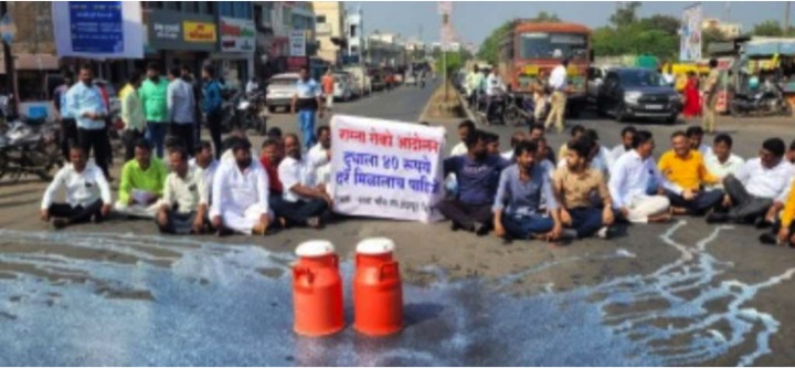 farmers pour milk on roads indapur dairynews7x7