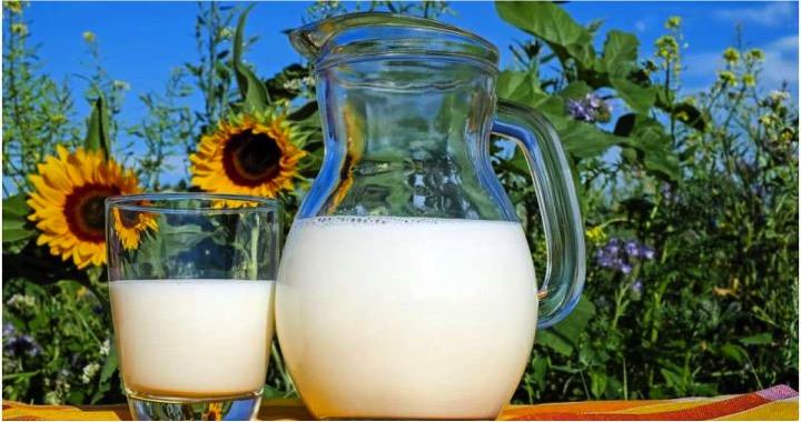 sustainable dairy farms economical too dairynews7x7