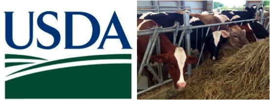 USDA invests in methane reduction dairynews7x7