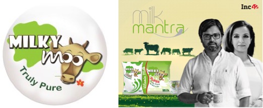 milk mantra incur loss in fy 23 dairynews7x7