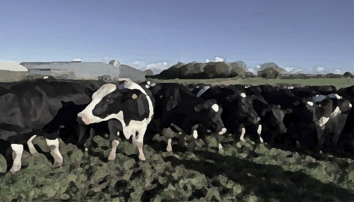treat farm labour as asset dairynews7x7