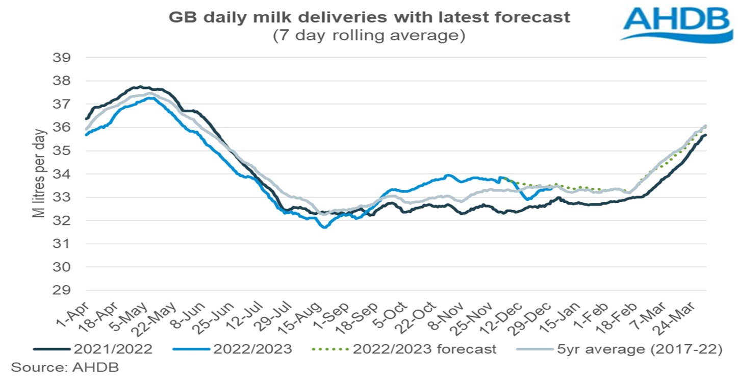 AHDB dairy outlook December 2023 dairynews7x7