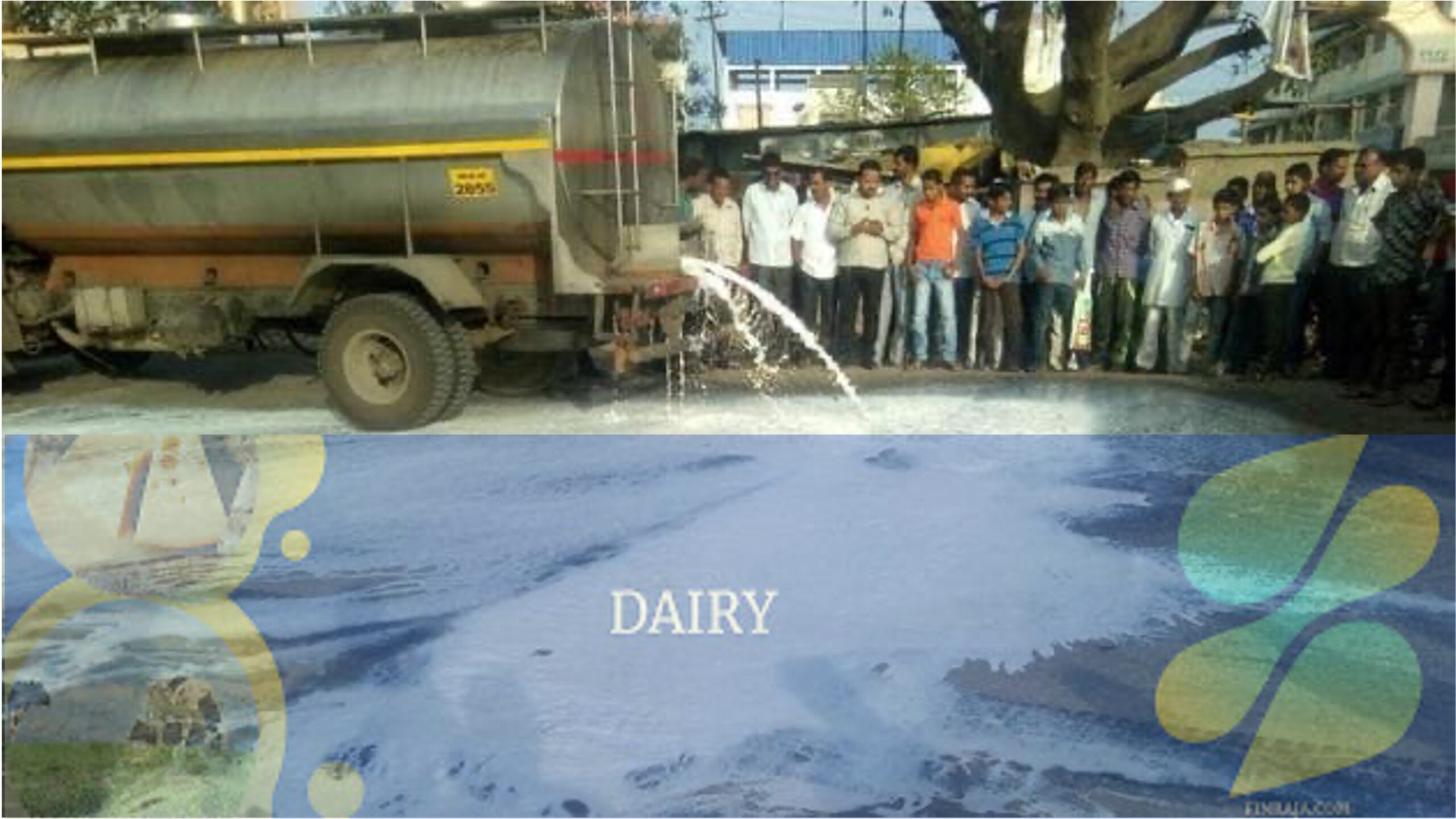 revision milk subsidy formula maharashtra dairynews7x7