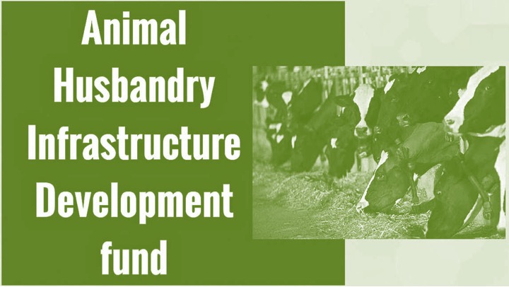 AHIDF scheme extended 29610 cr dairynews7x7