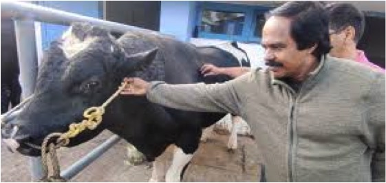 mano thangraj dairy schemes dairynews7x7